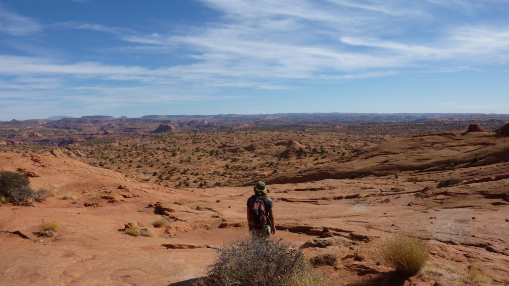 Personal looking at a vast desert