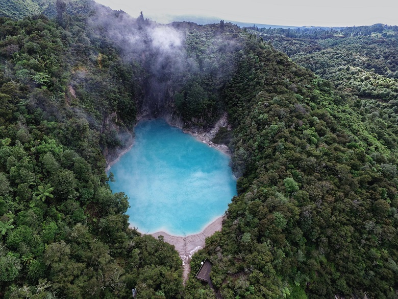 steaming blue natural pool surrounded by green forest