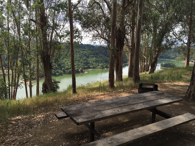 picnic table and fire ring overlooking green lake