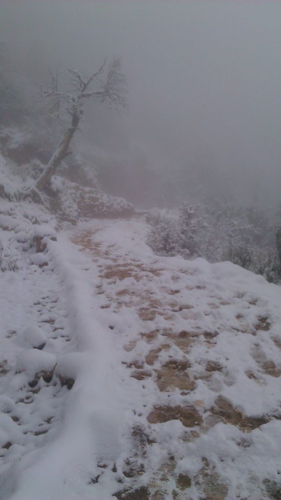 low visibility, snow and mud, hiking trail