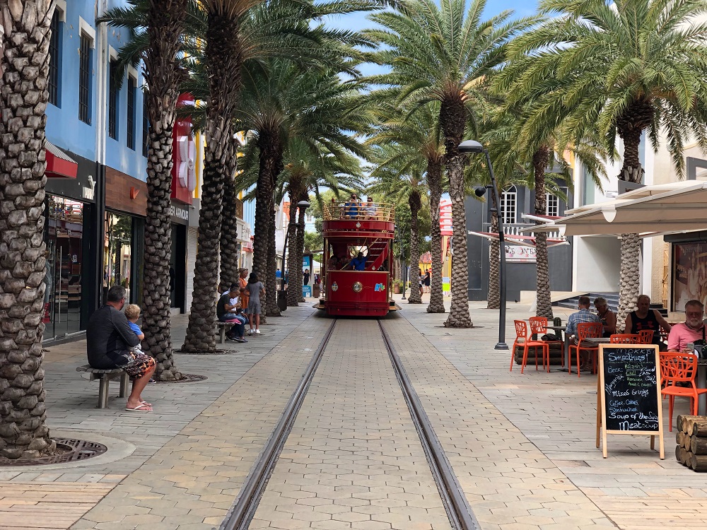 tramway lined with palm trees and shops