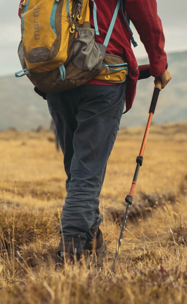 person with backpack and trekking pole
