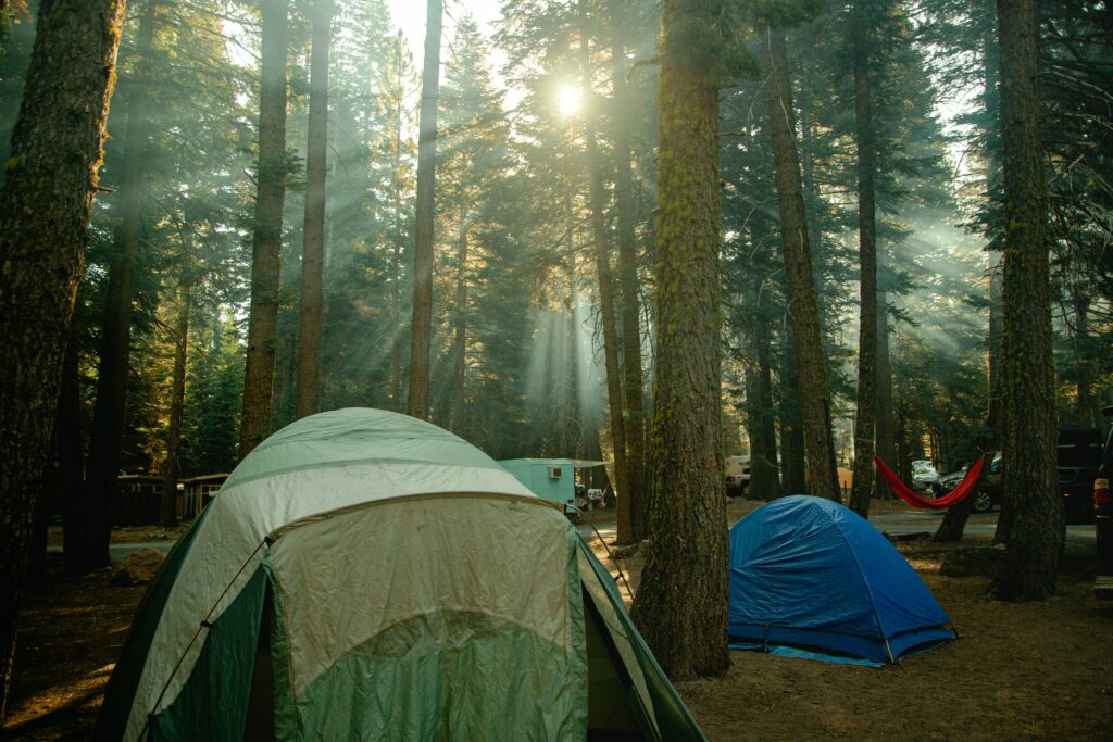 established campground in a forest, tents and hammock