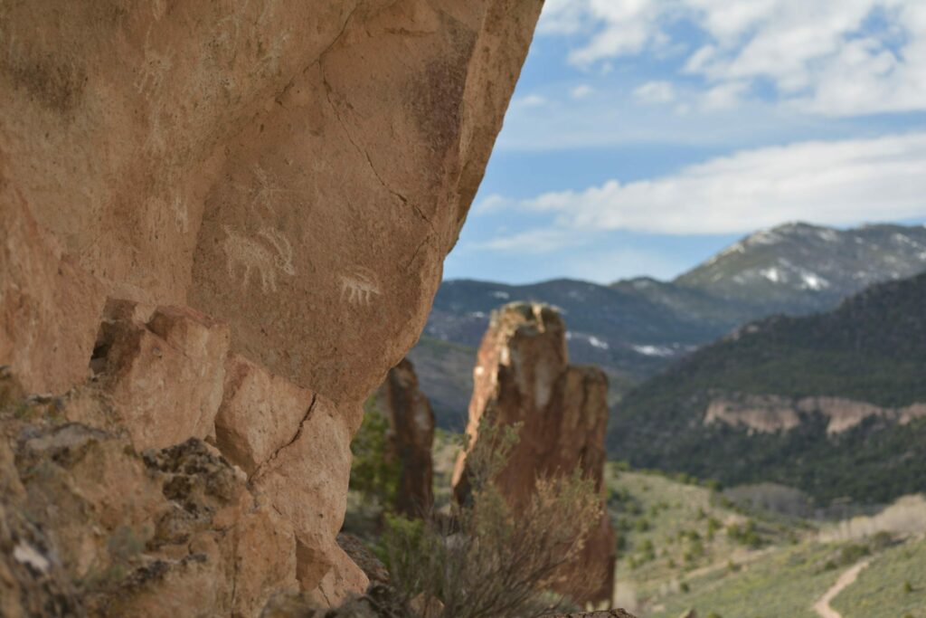 animal petroglyphs in cliffside with view of mountains in the background