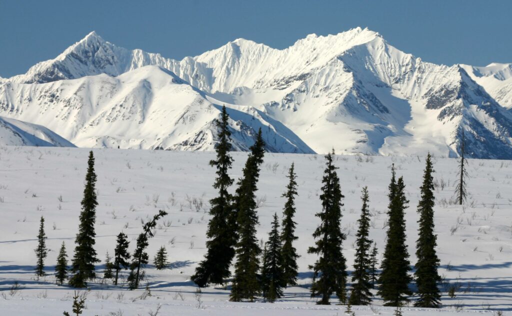 snowy peaks of Alaska in winter