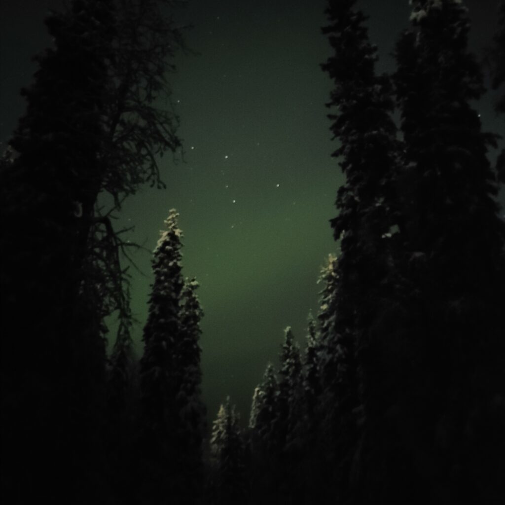 night sky with faint green streak through 4 bright stars through forest clearing